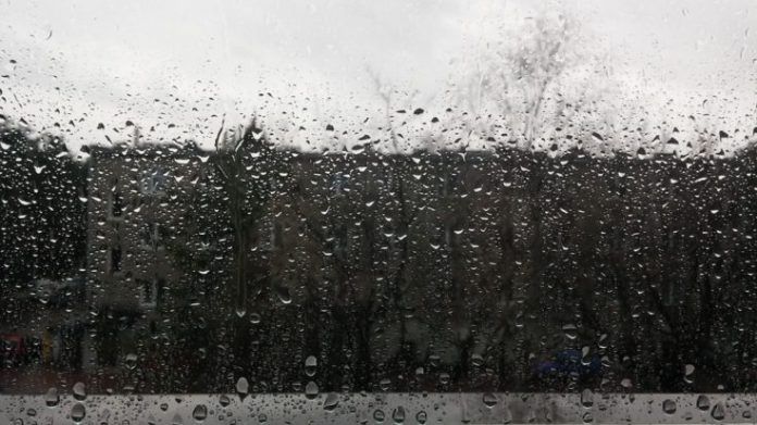 De la emoción a la acción