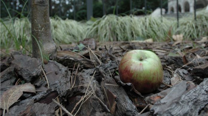 Rajoy y las Leyes de Newton