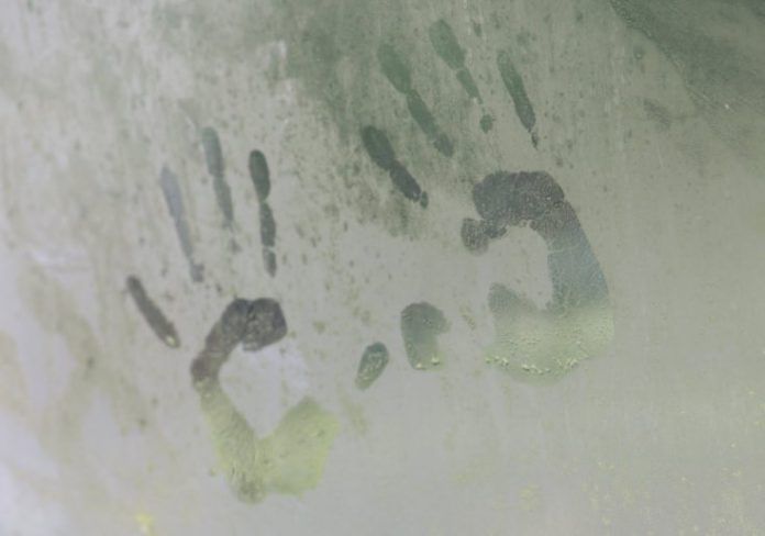 La política ha perdido la capacidad de liderazgo de lo público